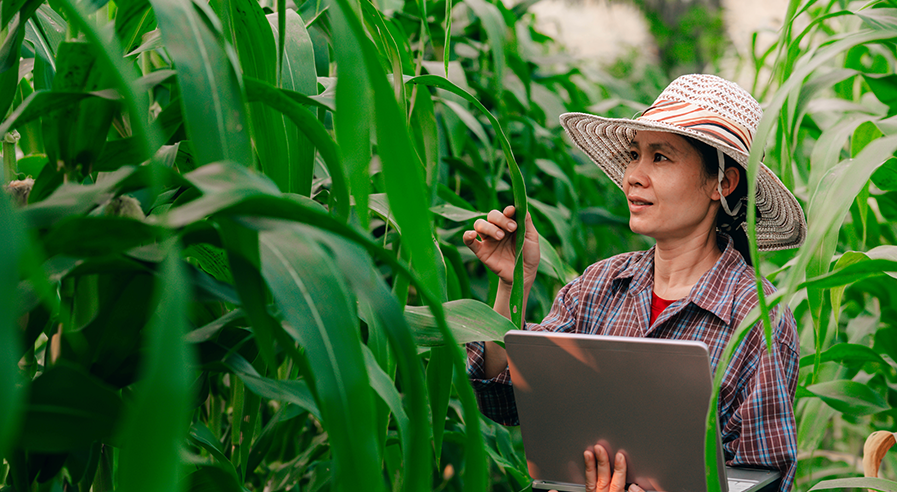 Celebrating International Women's Day for women in agriculture